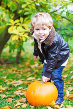 Sonbahar bahçesinde büyük turuncu balkabaklı küçük çocuk. Moda kıyafetleri içinde sevimli bir çocuk büyük bir sebzeyle eğleniyor. Geleneksel Şükran Günü veya Cadılar Bayramı.