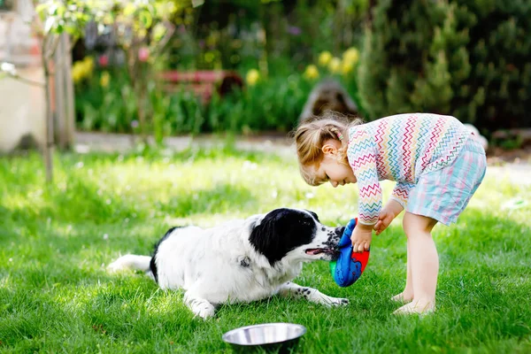 Mignon petit tout-petit fille jouer avec chien de famille dans le jardin. Joyeux enfant souriant s'amuser avec le chien, embrasser jouer avec la balle. Joyeux famille à l'extérieur. Amitié entre animaux et enfants — Photo