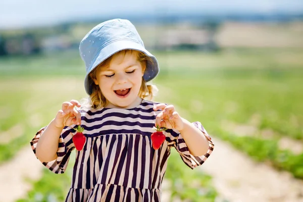 Retrato de una niña feliz recogiendo y comiendo fresas saludables en la granja de bayas orgánicas en verano, en un día soleado. Sonriente niña. Niño en el campo de plantación de fresas, bayas rojas maduras. —  Fotos de Stock
