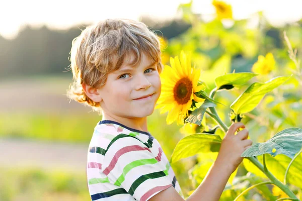 Portrait of beautiful little blond kid boy on summer sunflower field outdoors. Cute preschool child having fun on warm summer evening at sunset. Kids and nature. Happy summertime. —  Fotos de Stock