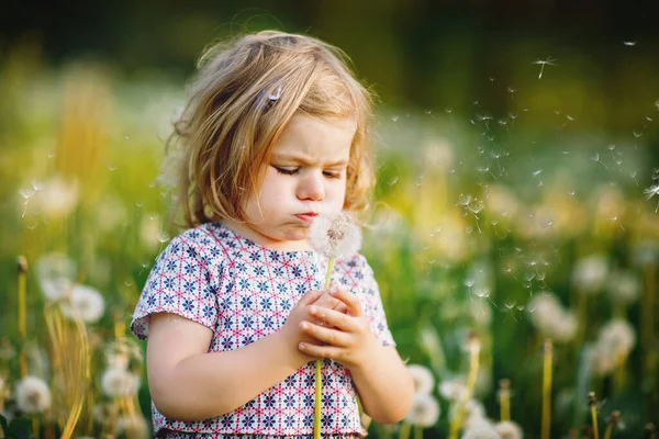 Adorable cute little baby girl blowing on a dandelion flower on the nature in the summer. Happy healthy beautiful toddler child with blowball, having fun. Bright sunset light, active kid. — Stock Photo, Image