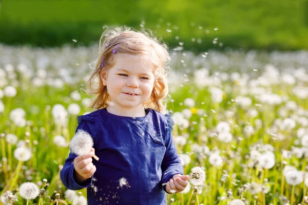 Adorável linda menina do bebê soprando em uma flor de dente de leão na natureza no verão. Criança bonita saudável feliz com bola de sopro, se divertindo. Luz brilhante do pôr-do-sol, miúdo activo. — Fotografia de Stock