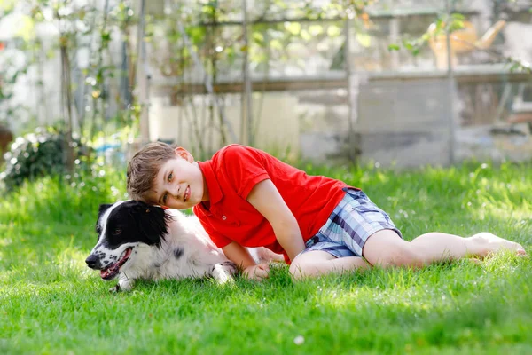 Petit garçon actif jouant avec un chien de famille dans le jardin. Riant écolier s'amusant avec chien d'entraînement, courir et jouer avec le ballon. Joyeux famille à l'extérieur. Amitié entre animaux et enfants — Photo