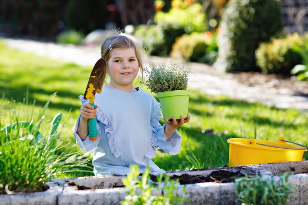 Adorável menina criança segurando pá de jardim com plantas verdes mudas nas mãos. Criança bonito aprender jardinagem, plantio e cultivo de ervas vegetais no jardim doméstico. Ecologia, alimentos orgânicos. — Fotografia de Stock