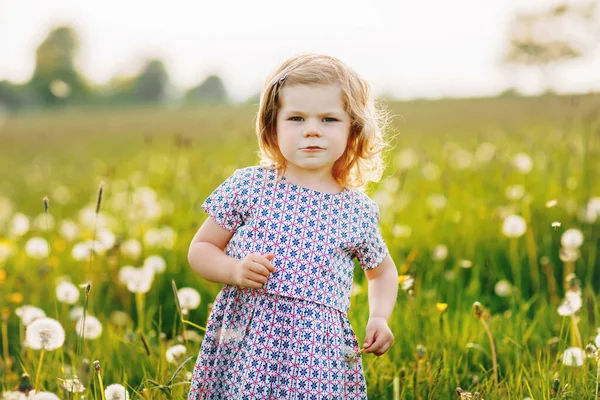 Sevimli küçük kız bebek yazın doğada karahindiba çiçeğine üflüyor. Gülle atan sağlıklı, güzel bir çocuk, eğleniyor. Parlak gün batımı ışığı, aktif çocuk. — Stok fotoğraf