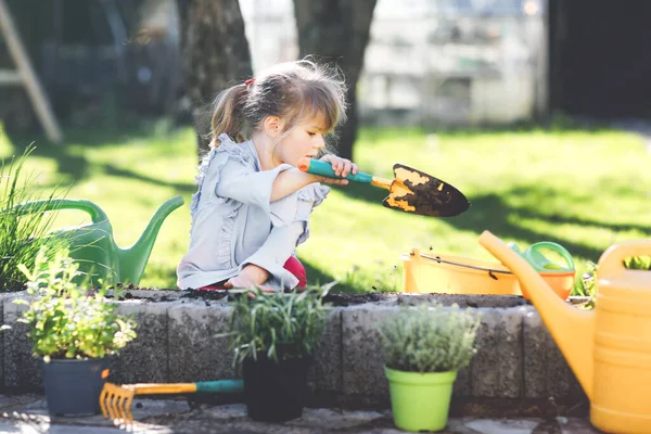 Entzückende kleine Mädchen mit Gartenschaufel mit grünen Pflanzen Sämling in den Händen. Nettes Kind lernen Gartenarbeit, Pflanzen und Anbau von Gemüsekräutern im heimischen Garten. Ökologie, Bio-Lebensmittel. — Stockfoto