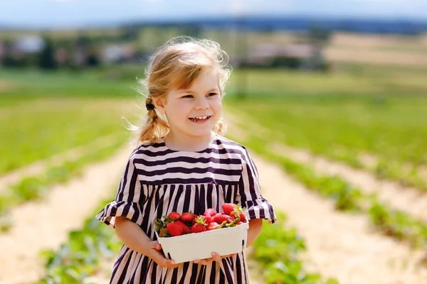 Portret van gelukkig kleuter meisje plukken en eten van gezonde aardbeien op biologische bessenboerderij in de zomer, op zonnige dag. Een lachend kind. Kind op aardbeienplantage veld, rijpe rode bessen. — Stockfoto
