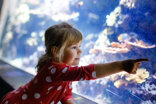 Carina bambina in visita all'acquario dello zoo. Bambino felice guardando pesci e meduse, coralli. Affascinato bambino con fauna selvatica di mare profondo. — Foto Stock