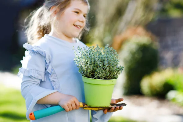 Zbliżenie małej dziewczynki trzymającej łopatę ogrodową z zielonymi roślinami sadzącymi w dłoniach. Cute dziecko uczyć się ogrodnictwa, sadzenia i uprawy warzyw ziół w ogrodzie. Ekologia, żywność ekologiczna. — Zdjęcie stockowe