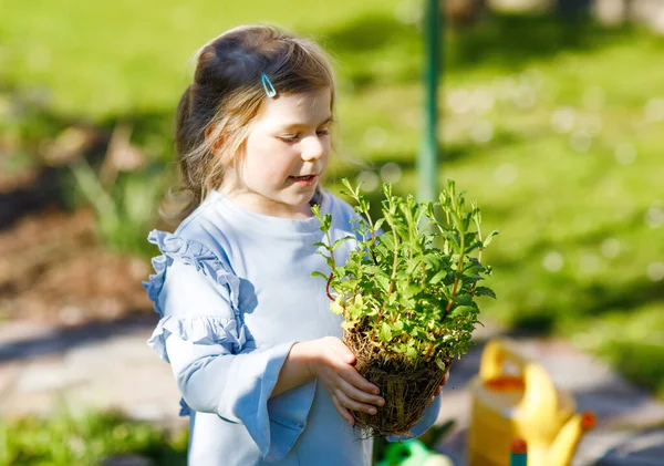 Schattig klein peutermeisje met tuinschop met groene planten in de hand. Schattig kind leren tuinieren, planten en kweken van groenten kruiden in de binnenlandse tuin. Ecologie, bio voeding. — Stockfoto