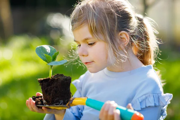 手に緑の植物の苗を持つ庭のシャベルを持っている小さな幼児の女の子のクローズアップ。かわいい子供は園芸を学び、家庭菜園で野菜のハーブを植え、栽培する。生態系、有機食品. — ストック写真