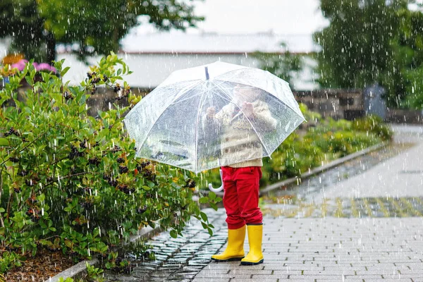 Malý blonďatý chlapeček, co chodí s velkým deštníkem venku v deštivém dni. Mládě ve školce se baví a nosí barevné nepromokavé oblečení a gumové boty. Venkovní volný čas za špatného počasí — Stock fotografie