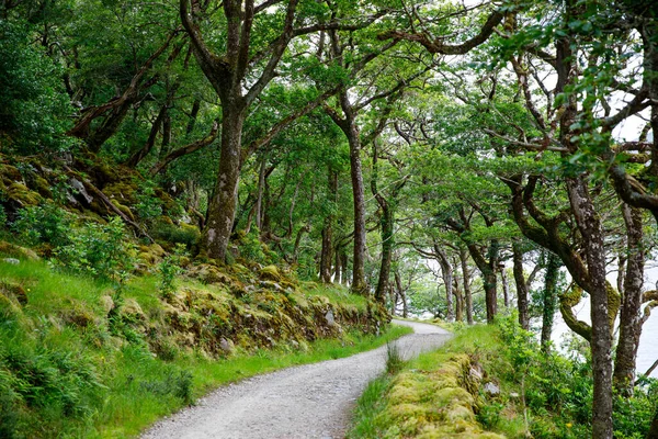 Park Narodowy Glenveagh, Donegal w Irlandii Północnej. Piękny szorstki krajobraz z zielonym lasem mchu, jezioro, park i wodospad, drugi co do wielkości park w kraju. Gleann Bheatha w języku irlandzkim — Zdjęcie stockowe