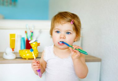 Küçük kız diş fırçası tutuyor ve ilk dişlerini fırçalıyor. Bebek süt dişini temizlemeyi öğreniyor..