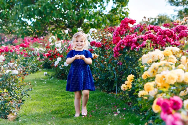 Portret van een kleuter in een bloeiende rozentuin. Schattig mooi mooi kind dat plezier heeft met rozen en bloemen in een park op zomerse zonnige dag. Gelukkig lachende baby. — Stockfoto