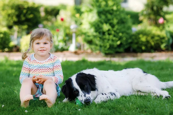 Mignon petit tout-petit fille jouer avec chien de famille dans le jardin. Joyeux enfant souriant s'amuser avec le chien, embrasser jouer avec la balle. Joyeux famille à l'extérieur. Amitié entre animaux et enfants — Photo