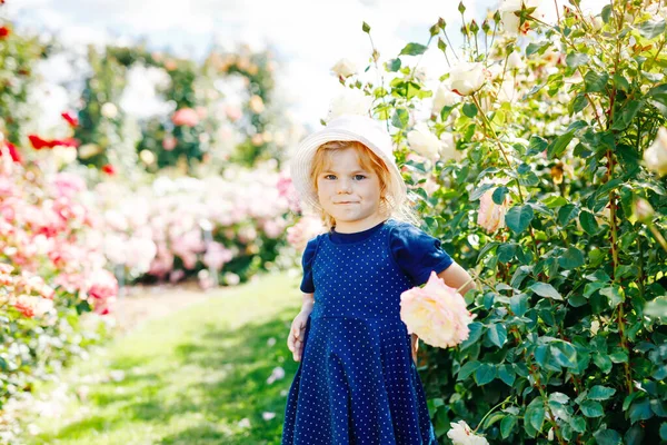 在盛开的玫瑰花园里，一个蹒跚学步的小女孩的画像。夏天阳光明媚的日子，在公园里用玫瑰和鲜花玩乐，可爱可爱可爱的孩子。快乐的微笑宝贝. — 图库照片