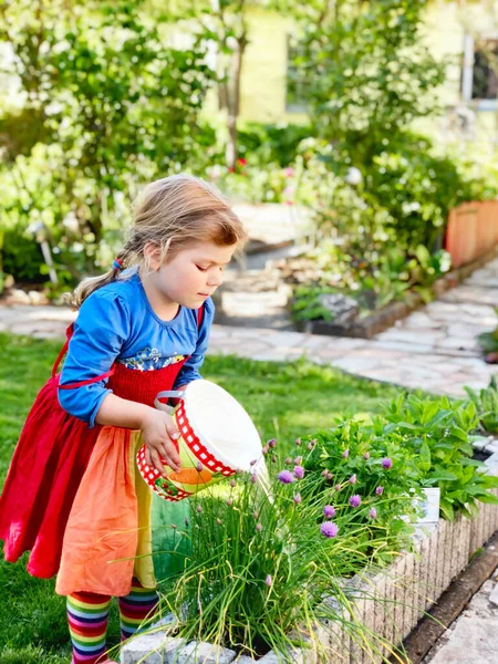 Beautiful little toddler girl watering summer or spring flowers and herbs with kids bucket. Happy child helping in family garden, outdoors. Activity for children. — Stock Photo, Image