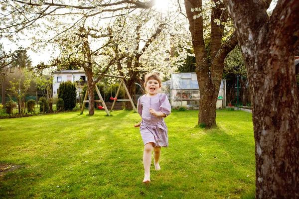 Bonne petite fille tout-petit s'amuser à jouer dans le jardin domestique. Sourire positif enfant en bonne santé courir et sauter sur la cour arrière. Petite fille d'âge préscolaire riant et pleurant. Loisirs actifs et activités en plein air — Photo