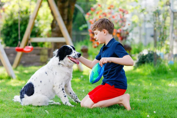 Bambino attivo che gioca con il cane di famiglia in giardino. Ridere bambino della scuola divertirsi con il cane da addestramento, correre e giocare con la palla. Famiglia felice all'aperto. Amicizia tra animali e bambini — Foto Stock