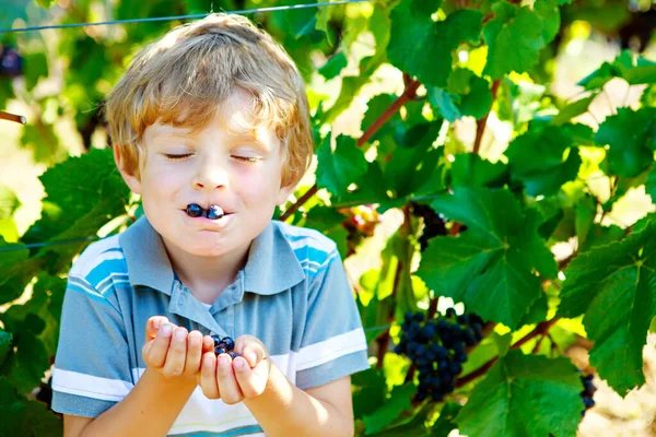 Menino loiro feliz com uvas azuis maduras — Fotografia de Stock