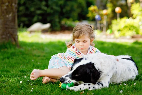 Mignon petit tout-petit fille jouer avec chien de famille dans le jardin. Joyeux enfant souriant s'amuser avec le chien, embrasser jouer avec la balle. Joyeux famille à l'extérieur. Amitié entre animaux et enfants — Photo