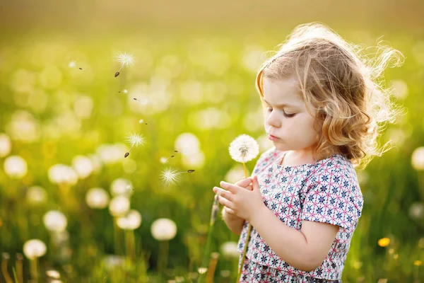 Adorable linda niña soplando en una flor de diente de león en la naturaleza en el verano. Feliz niño hermoso niño sano con blowball, divirtiéndose. Luz de puesta de sol brillante, niño activo. — Foto de Stock