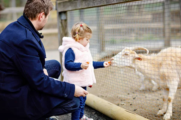 Urocza dziewczynka i młody ojciec karmiący małe kozy i owce na farmie dla dzieci. Piękne dziecko pieszczące zwierzęta w zoo. mężczyzna i córka razem na rodzinne wakacje weekendowe. — Zdjęcie stockowe