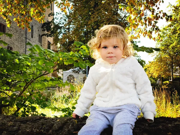 Adorável menina da criança bonito andando em um parque no dia de outono. Criança feliz se divertindo ao ar livre. Atividades outonais com crianças. Fazendo uma caminhada com a família. — Fotografia de Stock