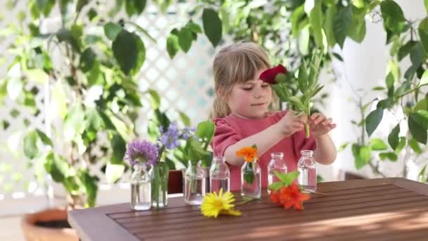 自宅で花束を作る小さな就学前の女の子。幼児の子供は水と小さなボトルにカラフルな庭の夏の花を入れます。子供のためのホームアクティビティ。虹色の花。幸せな子供. — ストック動画