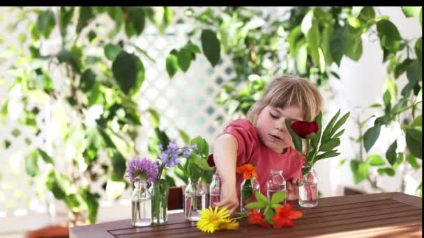 Piccola bambina in età prescolare che fa mazzo di fiori a casa. Bambino bambino mettendo colorato giardino fiori estivi in piccole bottiglie con acqua. Attività domestiche per bambini. Fiori nei colori dell'arcobaleno. Bambino felice.. — Video Stock