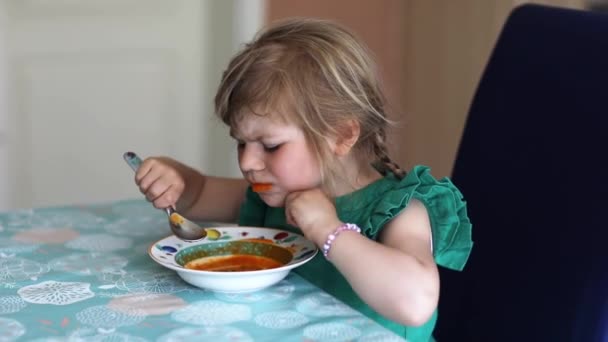 Niña preescolar comiendo sopa de tomate vegetal saludable para el almuerzo. Lindo niño feliz llevando comida a casa o guardería o jardín de infantes. Comida saludable para niños con verduras frescas. — Vídeo de stock