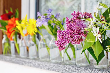 Küçük vazolar ya da şişelerdeki çiçek çeşitleri. Renkli çiçek aranjmanı ya da gökkuşağı renginde dekorasyon. Ev ya da bahçe, teras dekorasyonu konsepti.