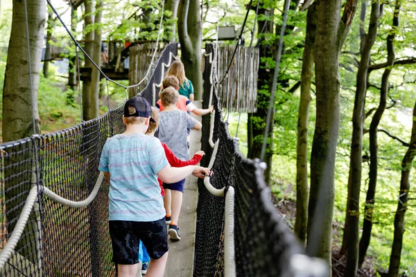 Grupo de niños que caminan por el sendero alto del dosel del árbol con pasarela de madera y cuerdas en Hoherodskopf en Alemania. Niños activos, clase escolar explorando el sendero de la copa de los árboles. Actividad divertida para niños —  Fotos de Stock