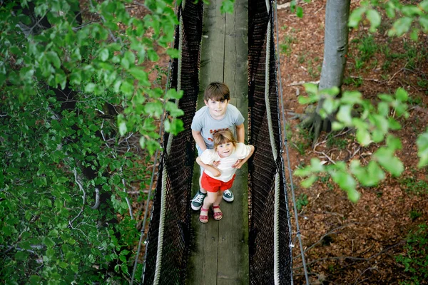 Niño preadolescente y niña preescolar caminando por el sendero alto del dosel del árbol con pasarela de madera y teleférico. Felices hermanos activos niños explorando el sendero de la copa de los árboles. Actividad divertida para familias al aire libre — Foto de Stock