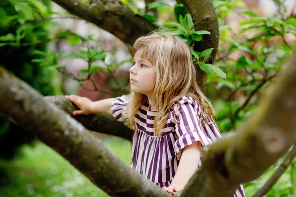 Little preschool girl climbing on tree on family backyard. Lovely happy toddler child hanging on magnolia tree, active games with children outdoors. Outdoor activity in park or garden — Stock Photo, Image