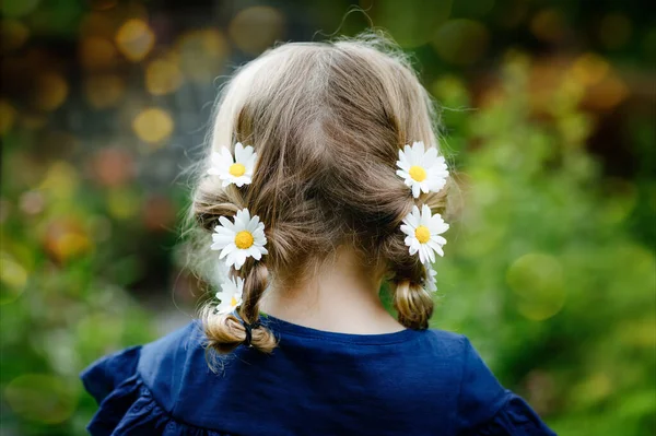 Ένα κοριτσάκι προσχολικής ηλικίας με κοτσίδες και λουλούδια μαργαρίτας σε μακριά ξανθά μαλλιά. Κοντινό πλάνο του μικρού παιδιού. Καλοκαιρινή ιδέα Παιδιά σε εξωτερικούς χώρους με μαργαρίτες λουλούδι. Παίζοντας με αγαπάει. — Φωτογραφία Αρχείου
