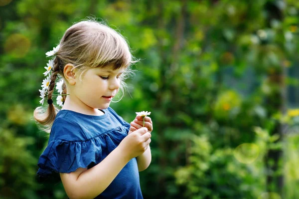 Pequena menina pré-escolar com tranças e flores de margarida em longos cabelos loiros. Close-up da criança. Conceito de verão. Crianças ao ar livre com margaridas flor. Tocando ele me ama. — Fotografia de Stock