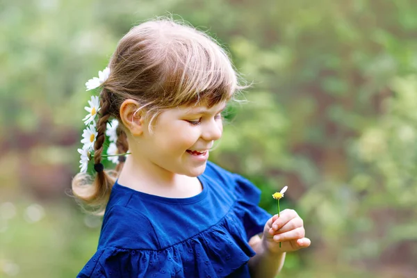 Little preschool girl with braids and daisy flowers in long blond hairs. Close-up of toddler child. Summer concept. Children outdoors with daisies flower. Playing he loves me. — Stock Photo, Image