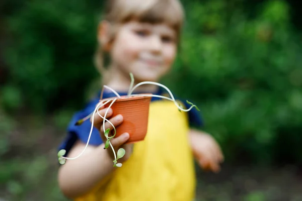 Close-up de mãos de menina pré-escolar plantando mudas de girassóis no jardim. Criança aprende jardinagem, plantio e cultivo de flores e plantas. Crianças e ecologia, conceito de ambiente. — Fotografia de Stock