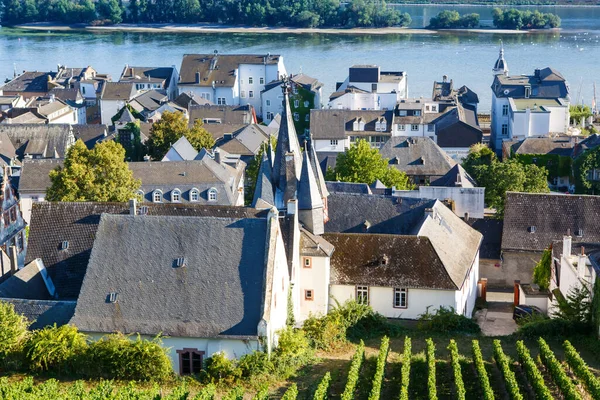 Słynny region winnic Rheingau późnym latem w Niemczech, zielone wzgórza w słoneczny dzień. Słynny region winnicy. Widok na Rudesheim am Rhein historyczne centrum miasta — Zdjęcie stockowe