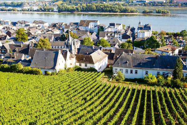 Berömda Rheingau vingårdar region i slutet av sommaren i Tyskland, gröna kullar på solig dag. Berömd vinodlingsområde. Visa på Rudesheim am Rhein historiska centrum — Stockfoto