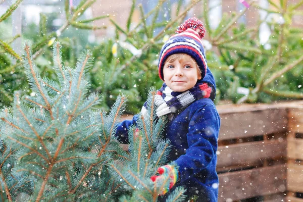 Adorable niño sonriente sosteniendo el árbol de Navidad en el mercado. Feliz niño sano en ropa de moda de invierno elegir y comprar gran árbol de Navidad en la tienda al aire libre. Familia, tradición, celebración. —  Fotos de Stock