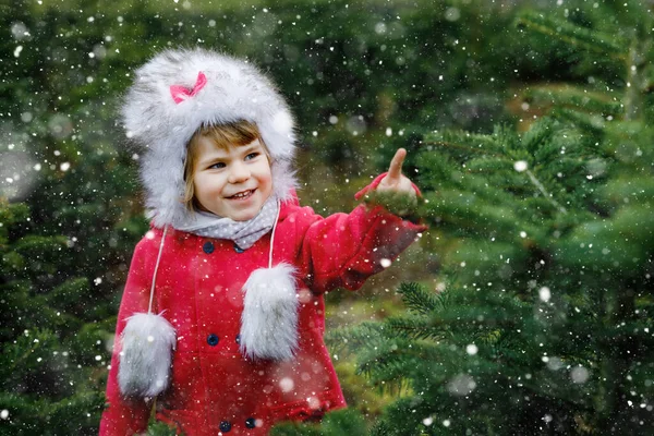 Menina pequena adorável com árvore de Natal na plantação de corte de abeto. Criança feliz em roupas de moda de inverno escolhendo, cortando e derrubando própria árvore de xmas na floresta, tradição familiar na Alemanha — Fotografia de Stock