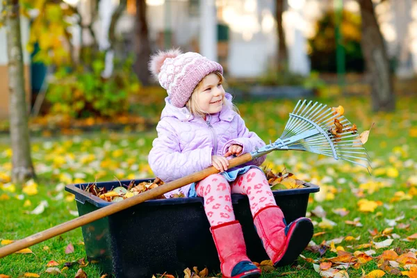 Piccola bambina che lavora con rastrello nel giardino o nel parco autunnale. Adorabile bambino sano felice divertirsi con l'aiuto di foglie cadute dagli alberi. Bel aiutante all'aperto. apprendimento dei bambini aiutare i genitori — Foto Stock