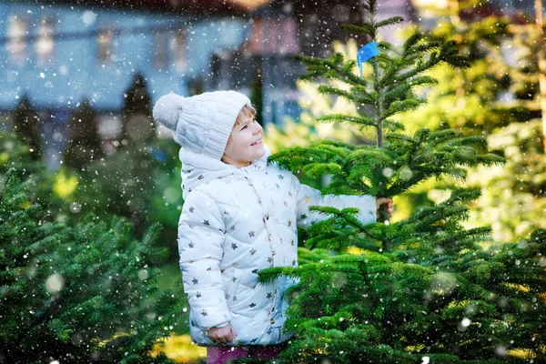 市場でクリスマスツリーを保持している愛らしい小さな幼児の女の子。アウトドアショップで大きなクリスマスツリーを選択し、購入冬のファッション服で幸せな健康な赤ちゃんの子供。家族、伝統、お祝い. — ストック写真