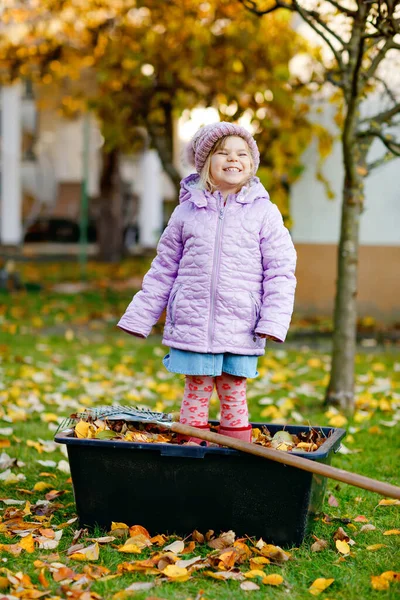 Niña pequeña que trabaja con rastrillo en el jardín o parque de otoño. Adorable niño feliz sano que se divierte con la ayuda de hojas caídas de los árboles. Lindo ayudante al aire libre. aprendizaje infantil ayudar a los padres —  Fotos de Stock