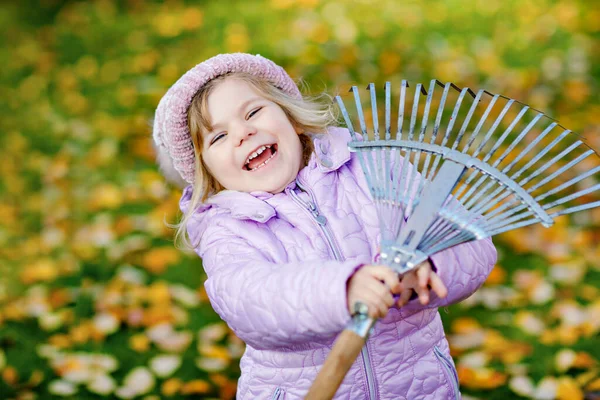 Μικρό κοριτσάκι που εργάζεται με τσουγκράνα στο φθινόπωρο κήπο ή πάρκο. Αξιολάτρευτο χαρούμενο υγιές παιδί που διασκεδάζει βοηθώντας πεσμένα φύλλα από δέντρα. Χαριτωμένος βοηθός στην ύπαιθρο. βοήθεια προς τους γονείς — Φωτογραφία Αρχείου