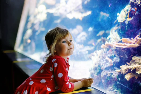 Cute little toddler girl visiting zoo aquarium. Happy baby child watching fishes and jellyfishes, corals. Fascinated child with deep sea wildlife. — Stock Photo, Image