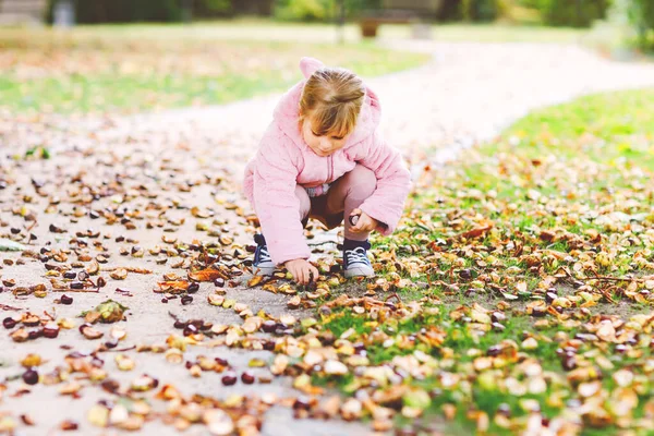 Söt söt liten flicka som plockar kastanjer i en park på höstdagen. Glada barn har kul med att söka kastanj och lövverk. Höstaktiviteter med barn. — Stockfoto